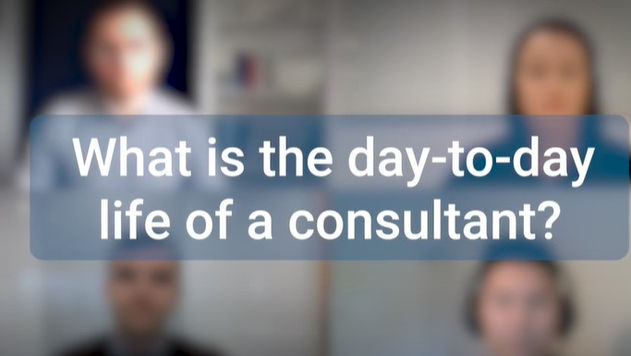 What is the day-to-day life of a consultant?